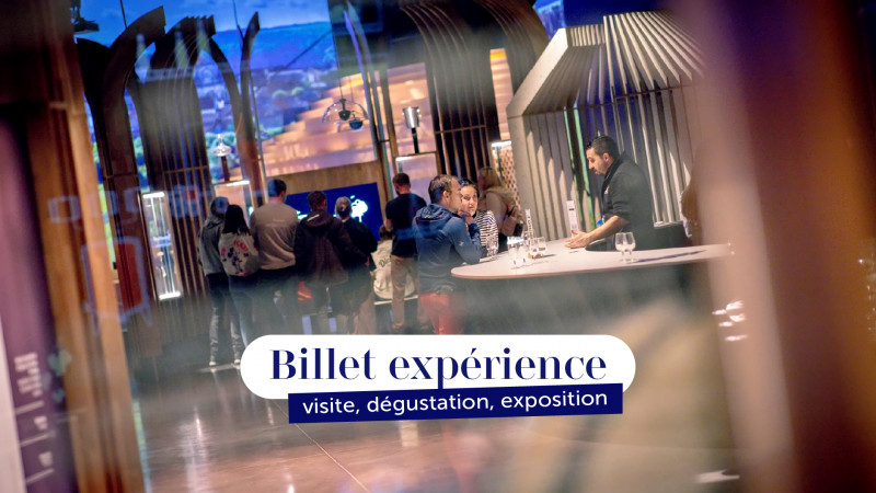 Billet exp&eacute;rience Beaune