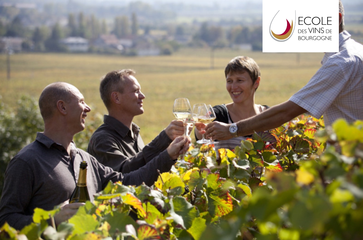 Dco Thme Vigne Et Vin