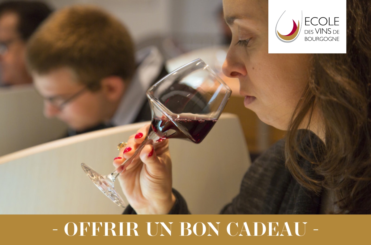 Chèque Cadeau Oenologie : Demi-journée Dégustation de Vins DEGUST'Emoi