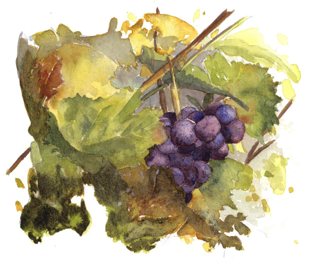 automne-hd-11-151910