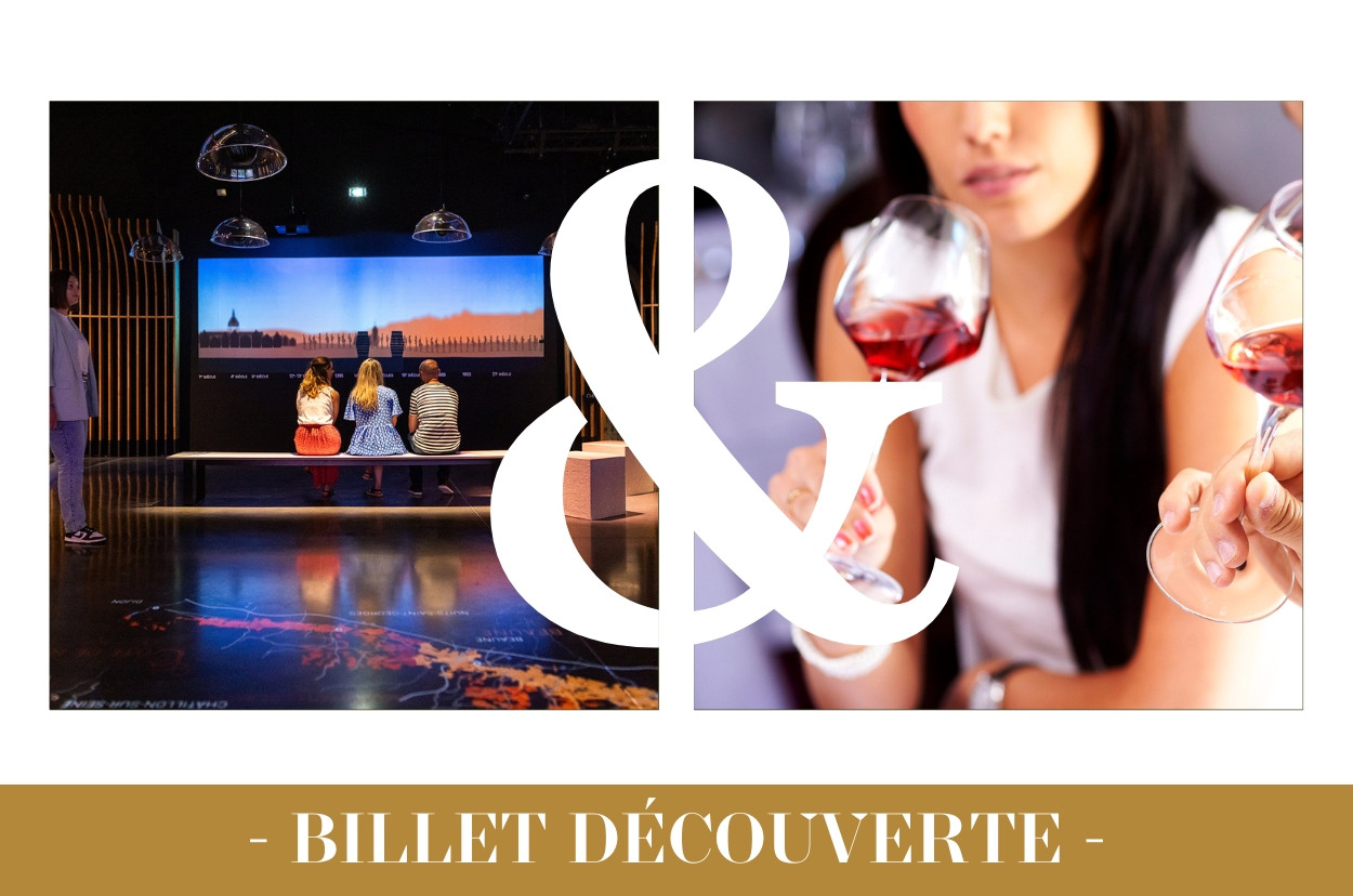 parcours-visite-beaune-atelier-art-de-la-d-gustation-150926