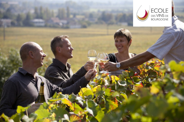 Chèque Cadeau Oenologie : Demi-journée Dégustation de Vins DEGUST'Emoi