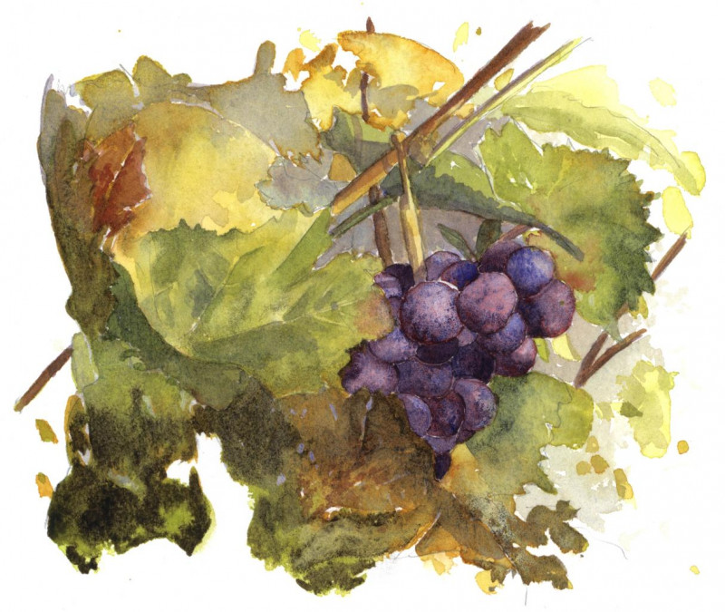 automne-hd-11-151910 automne-hd-11-151910