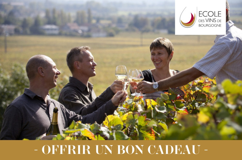 balade-entre-vigne-et-vins-150893