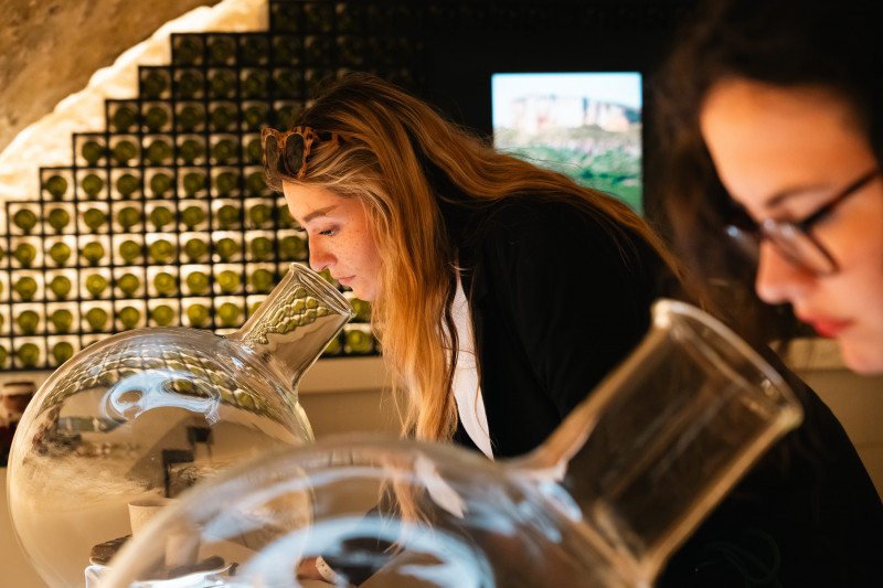 chablis-nuit-des-climats-151926