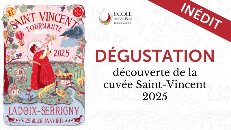 visuel-st-vincent-2025-151700