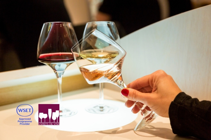 wset-niveau-2-151971 wset-niveau-2-151971